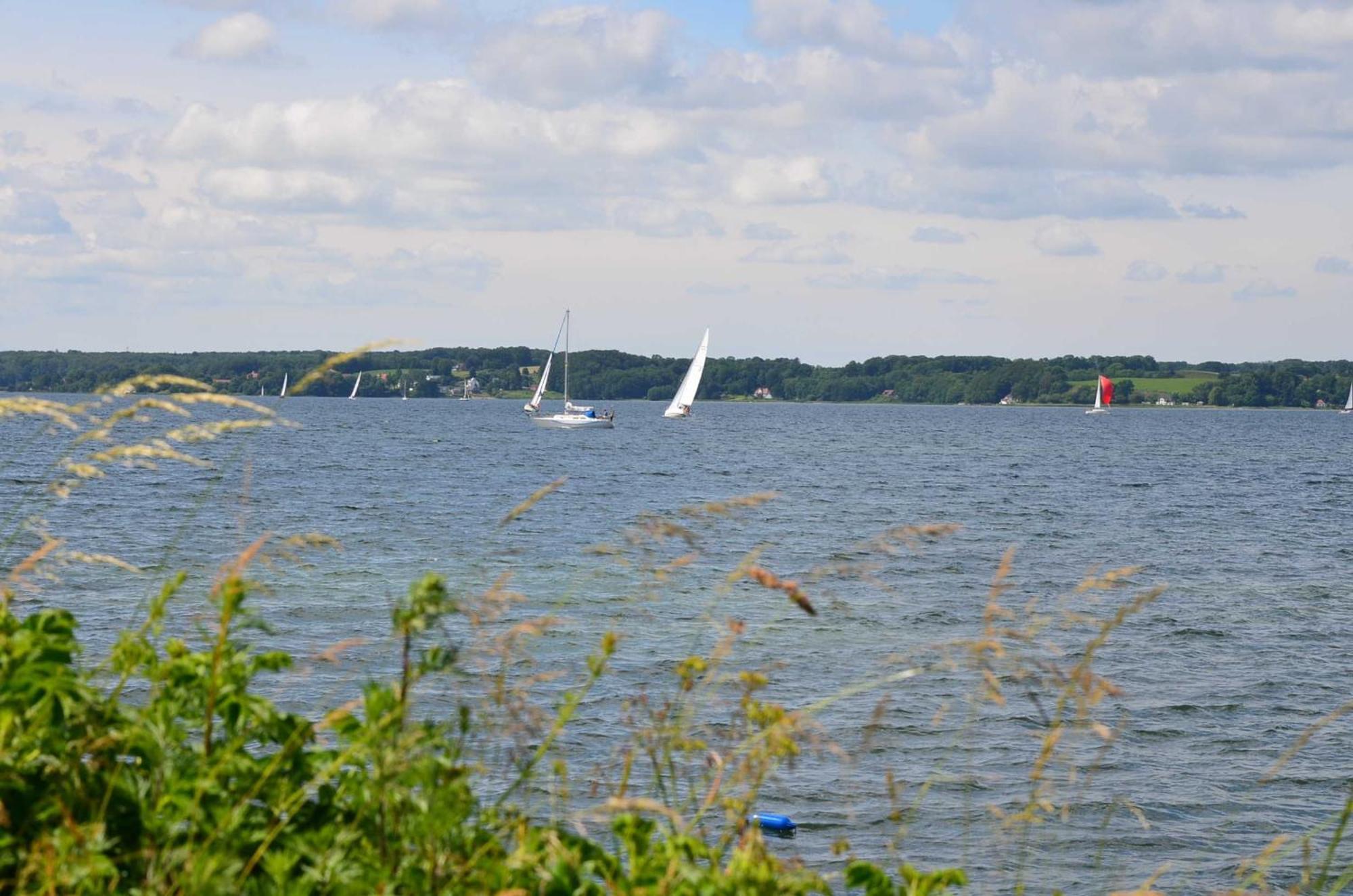 Ferienwohnung Skovsende 25 Glücksburg Exteriör bild